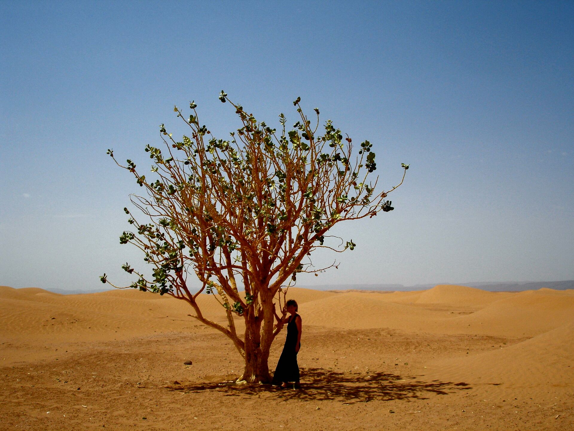 Ausflüge in Marrakesch – Wüste in Marokko